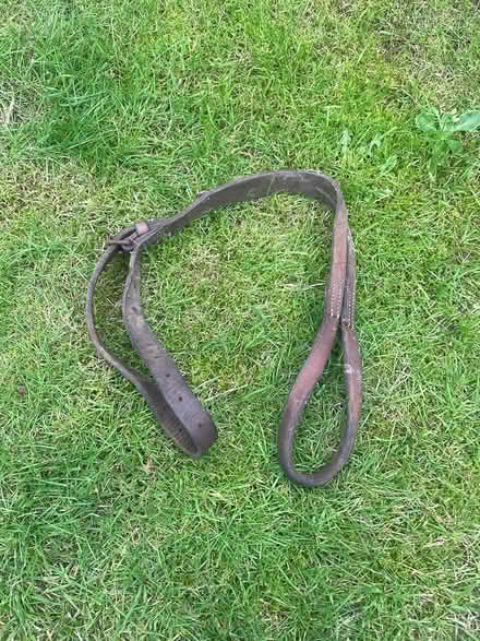 Photo of free Leather Straps & bridle? (Croesyceilog NP44) #2