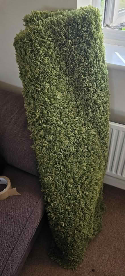 Photo of free Green rug, very large. (Ebley GL10) #2