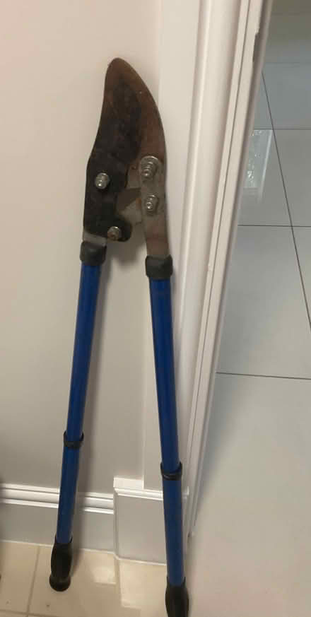 Photo of free Extendable branch lopper (Compton WV3) #1