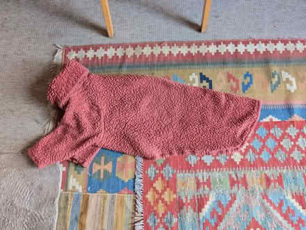 Photo of free Fleece dog pyjamas suitable for greyhound or lurcher (New Marston OX3) #1