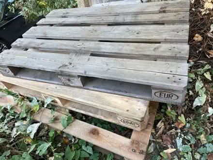 Photo of free Wooden pallets (Highgate N6) #1