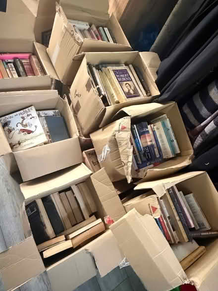 Photo of free 55 boxes of books ("E15" E15) #2