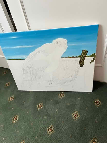 Photo of free Used stretch canvas (Denvilles PO9) #1