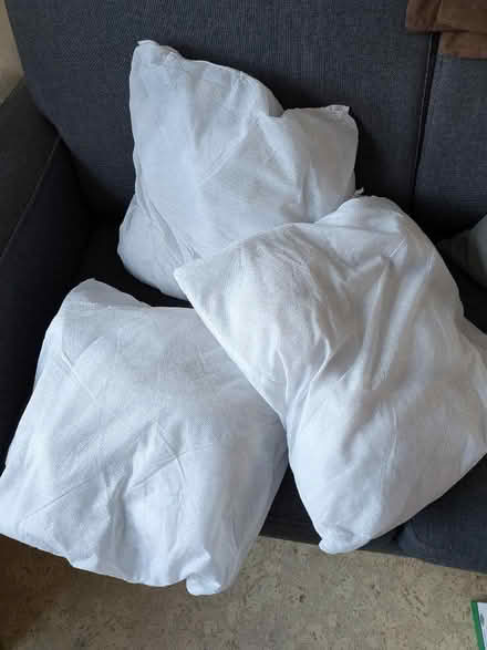 Photo of free Cushion inners (Risinghurst OX3) #1