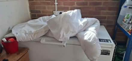 Photo of free Single duvets (South Green CM11) #1