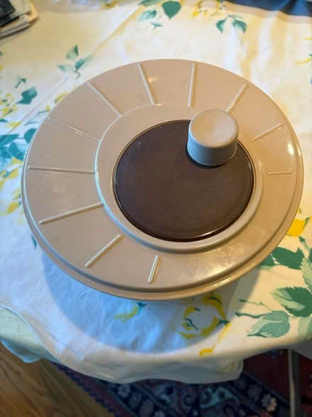 Photo of free Vegetable Spinner (Fremont) #1