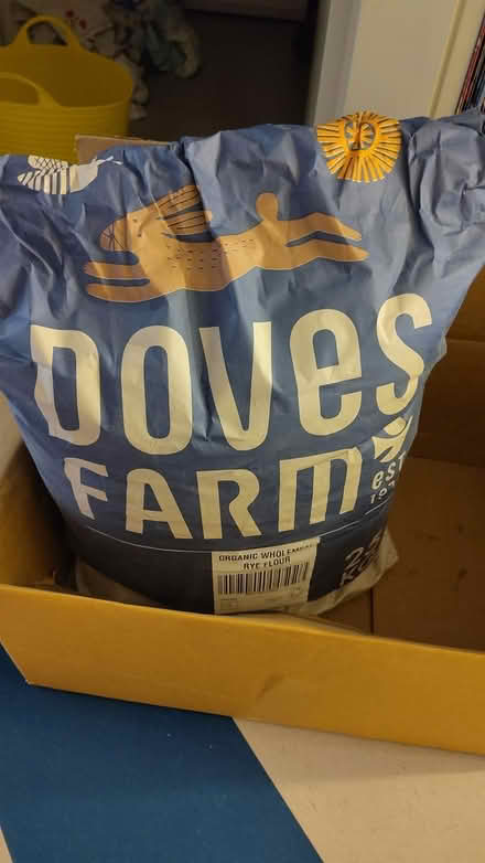 Photo of free Rye Flour - 23kg (see description) (Bermondsey/Ritherhithe SE16) #1