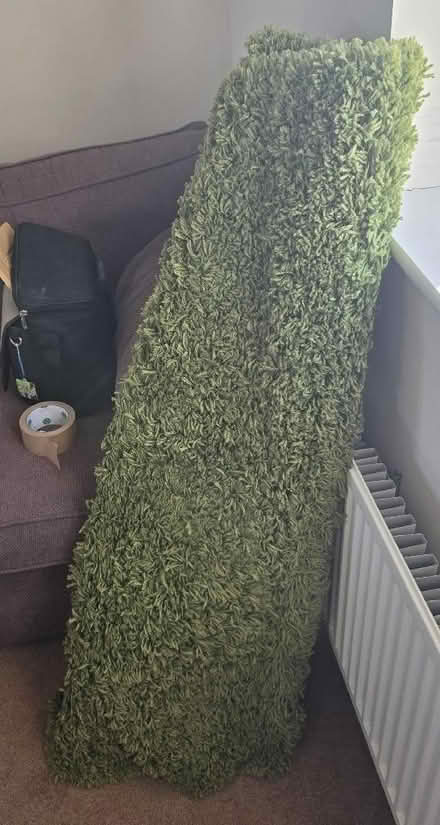 Photo of free Green rug, very large. (Ebley GL10) #1