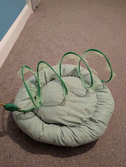Photo of free Cat Bed and toy (Tilehurst RG31) #3