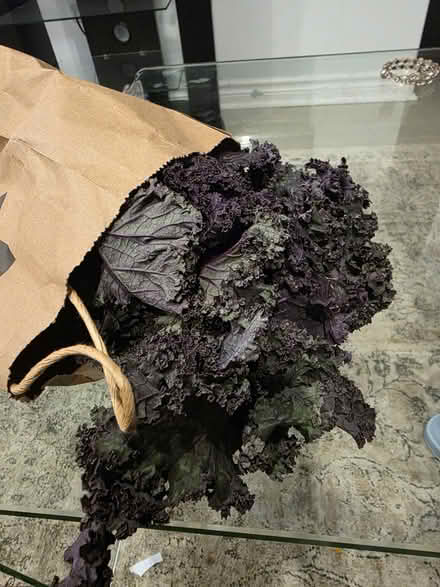 Photo of free food items (Churchil Meadows & Thomas st) #4