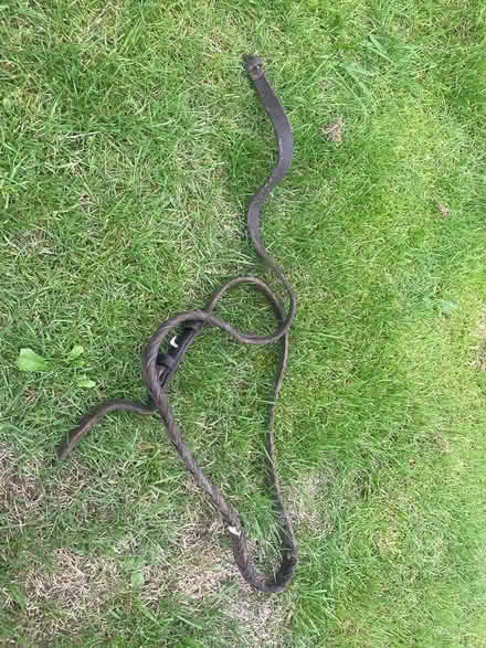Photo of free Leather Straps & bridle? (Croesyceilog NP44) #3