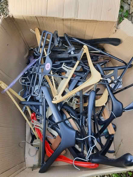 Photo of free Plastic coathangers (Stroud central GL5) #2