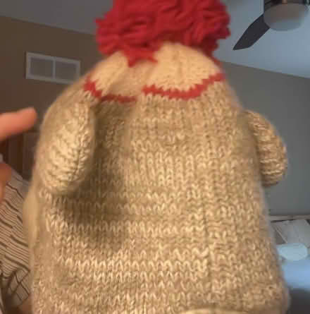 Photo of free Sock Monkey hat (Western Dearborn) #2