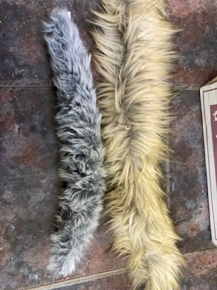 Photo of free Coat hood fur (Chineham RG24) #1