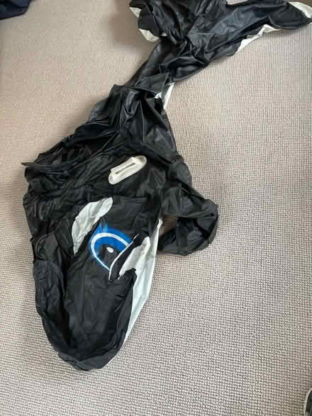 Photo of free Pool toy - inflatable 5’ whale (St Albans AL3) #1
