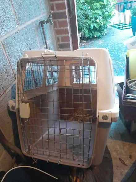 Photo of free Dog cage carrier (Hockley Heath B94) #1