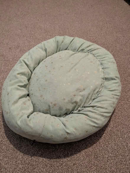Photo of free Cat Bed and toy (Tilehurst RG31) #1