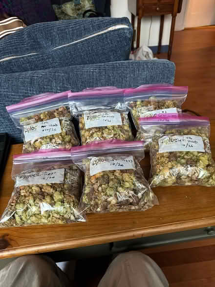 Photo of free Hops (Waltham) #1
