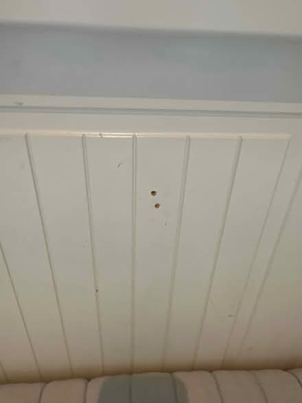 Photo of free Ikea hemnes day bed (Addingham LS29) #3
