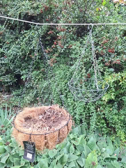 Photo of free Hanging Baskets (Arborfield Garrison RG2) #1