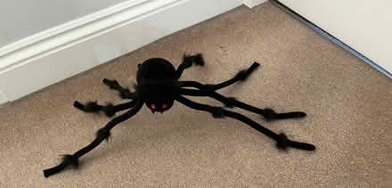 Photo of free Halloween items (St Julians AL1) #1