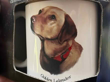 Photo of free 3 mugs, all brand new (Waterlooville PO7) #4