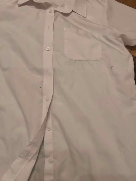 Photo of free School Blouses - Next - 14 & 15 Yrs (Hemel, HP3) #4