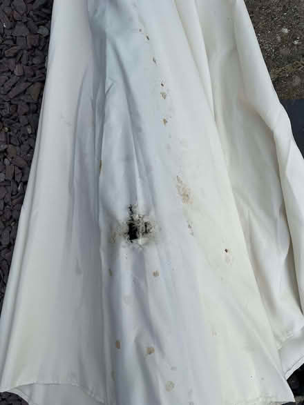 Photo of free Parasol (Tivoli GL51) #4