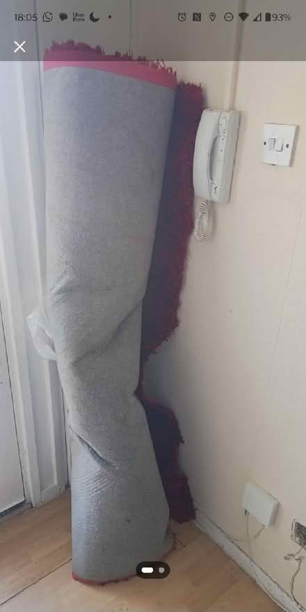 Photo of free Rug carpet red color (Cann Hall E11) #3