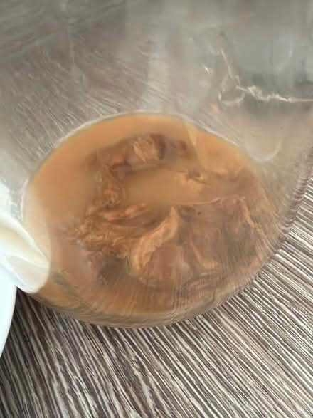 Photo of free Kombucha scoby (Nunnery Wood WR5) #4
