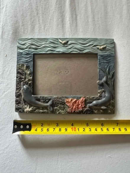 Photo of free dolphin photo frame (marden TN12) #1