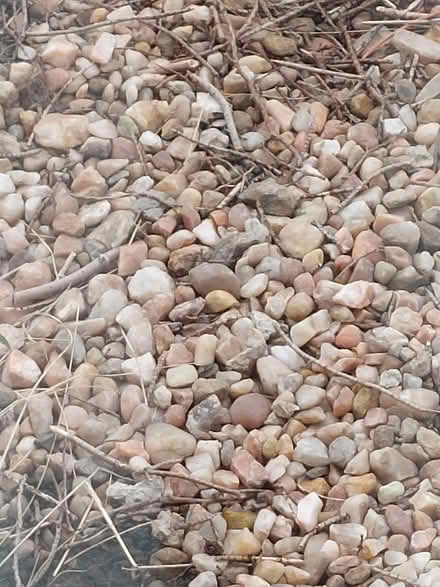Photo of free Garden/driveway 'chucky' stones (Craigentinny, EH7) #2