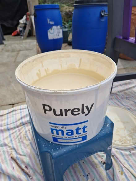 Photo of free Magnolia emulsion (Rusthall, TN4) #1