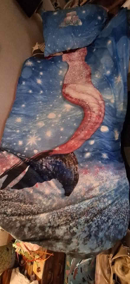 Photo of free Single duvet plus mermaid duvet cover (Lion Gate TW9) #1