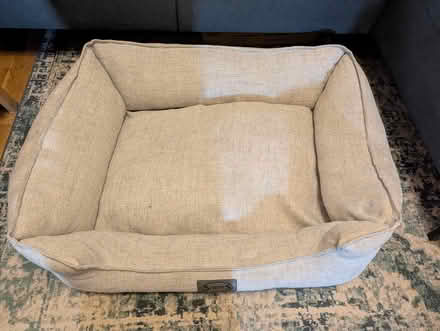 Photo of free Scruffs dog bed (Hitchin SG5) #1