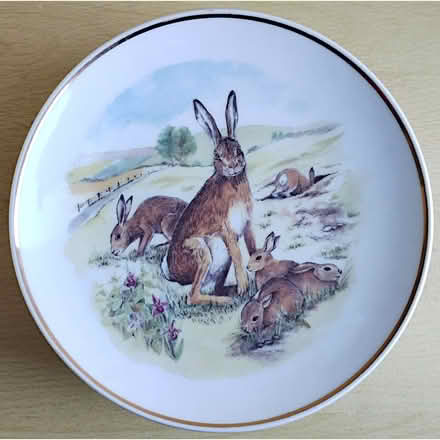 Photo of free Six Decorative "Animals of Britain" Plates (West Bletchley MK3) #4