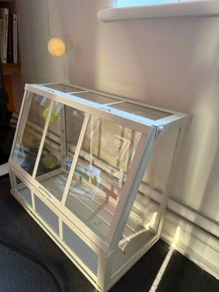 Photo of free IKEA mini greenhouse (Hoxton) #1