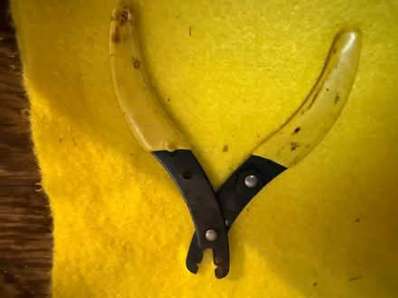 Photo of free Wire Stripper (Terra Linda) #1