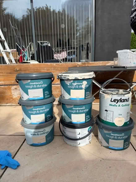 Photo of free Indoor Wall Paint (Hatfield) #1