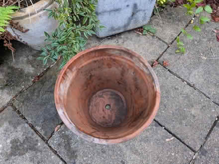 Photo of free Large terracotta pot (Cannon Park CV4) #2