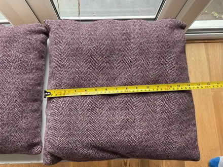Photo of free Cushions (Nashes Farm AL4) #2
