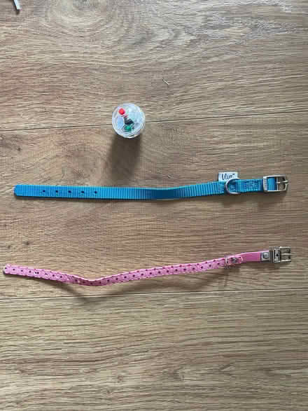 Photo of free Pet Collars And Toy (Bicester OX26) #1