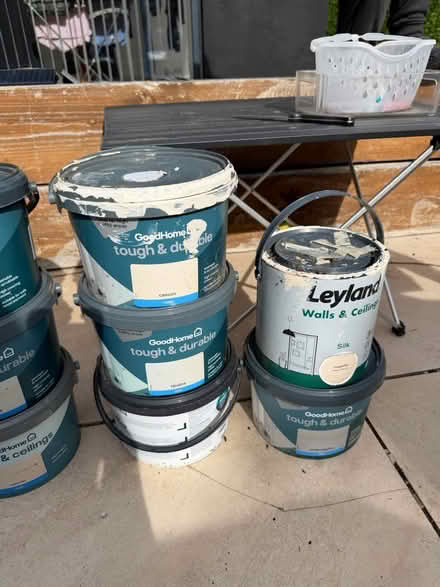Photo of free Indoor Wall Paint (Hatfield) #3