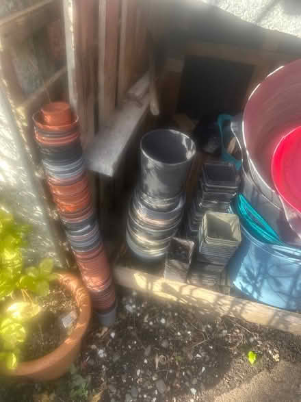 Photo of free Lots of plastic plant pots (Heysham LA3) #1
