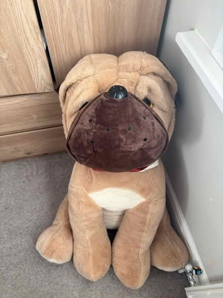 Photo of free Giant teddy bear (Leigh on sea SS9) #1