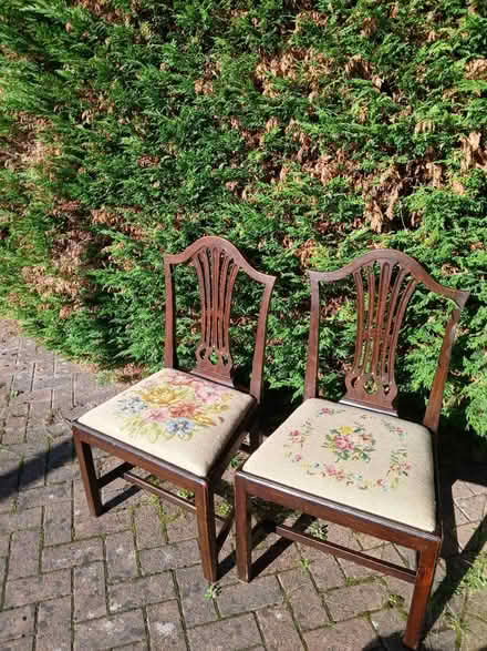 Photo of free 2 Antique dining chairs (Bewdley DY12) #1