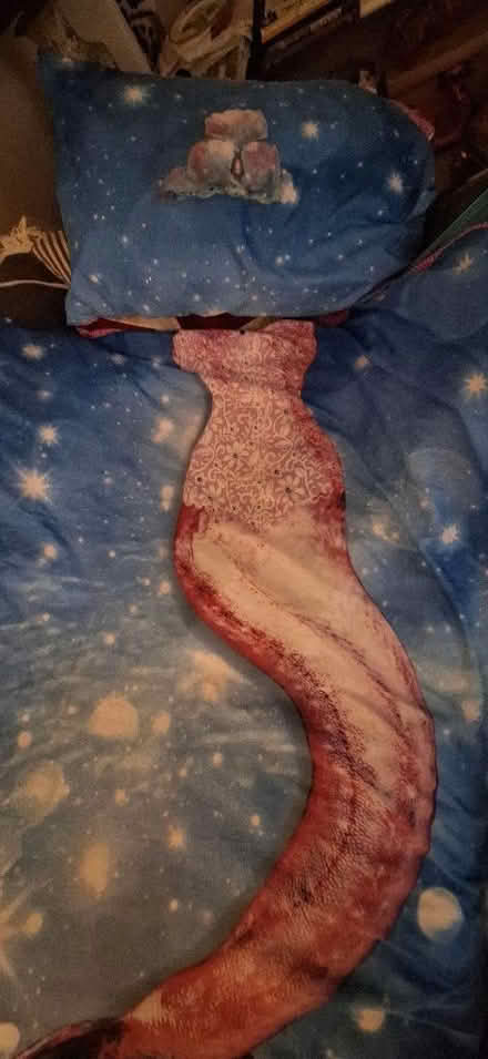 Photo of free Single duvet plus mermaid duvet cover (Lion Gate TW9) #2