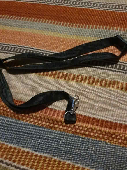 Photo of free Lanyard (Fishponds BS16) #1