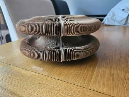 Photo of free Cardboard concertina cat toy (Bedford Rd area SG6) #3