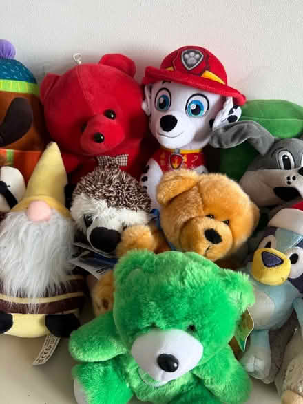 Photo of free Collection of soft plus toys (St Helens TN34) #3